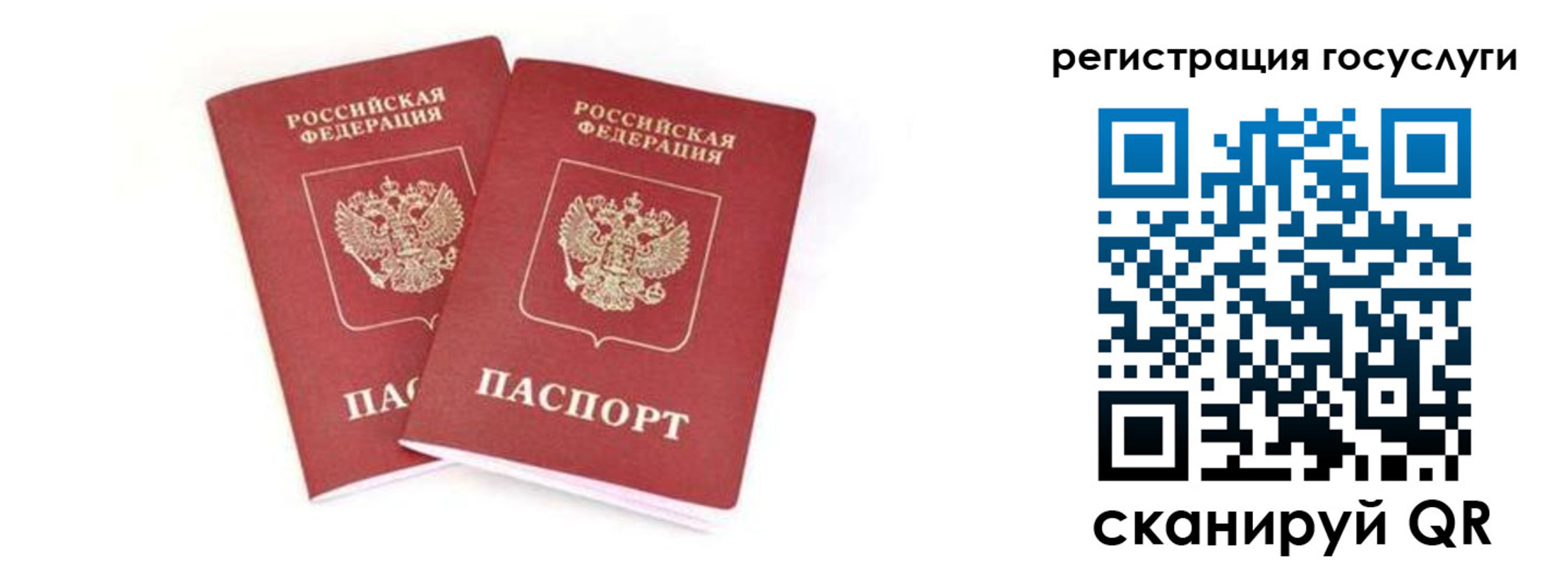 прописка в квартире в Железногорске